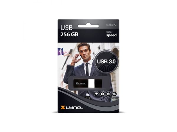 xlyne - USB flash-enhet - 256 GB - USB 3.0