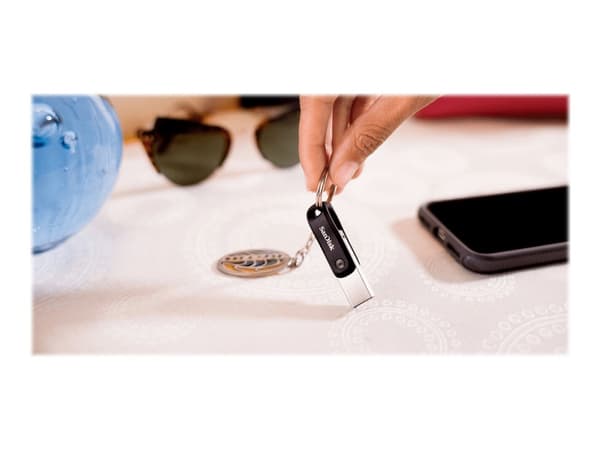SanDisk iXpand Go - USB flash-enhet - 256 GB - USB 3.0 / Lightning Grå, Silver