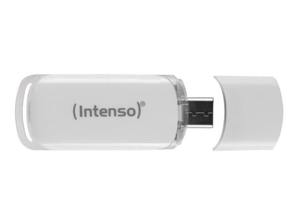 Intenso Flash Line - USB flash-enhet - 64 GB - USB-C 3.1 Gen 1 - vit