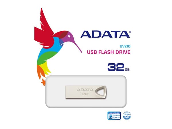 ADATA UV210 - USB-minne - 32 GB - USB 2.0 - gylden