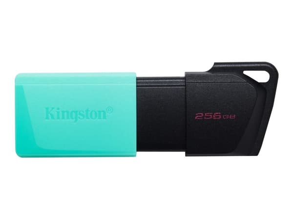 Kingston DataTraveler Exodia M - USB flash-enhet - 256 GB - USB 3.2 Gen 1