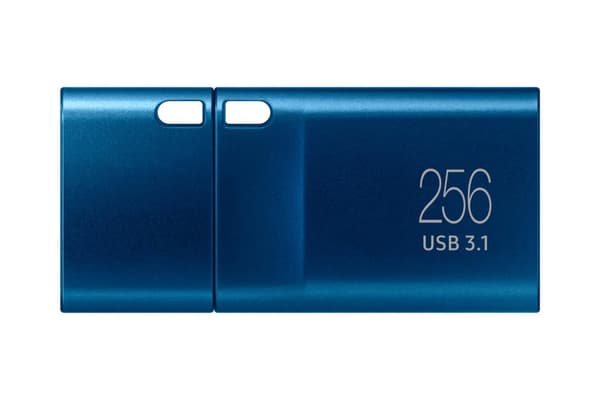 Samsung MUF-256DA - USB-minne - 256GB - USB-C 3.2 Gen 1 - Blå
