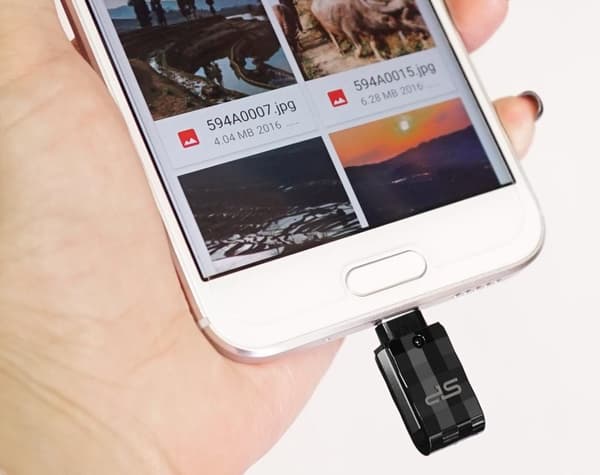 Silicon Power C31 Dual USB USB-A / USB-C USB stick - 64GB - Sort