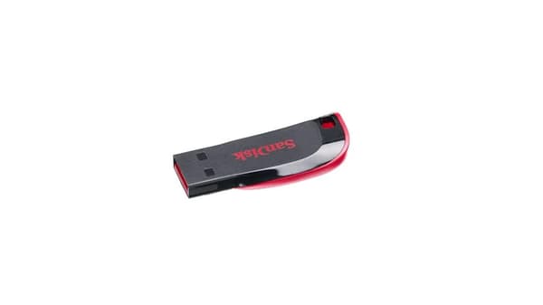 Sandisk Cruzer Blade - USB Flash Drive - 32GB - USB 2.0 - Electric Pink (SDCZ50C-032G-B35PE)