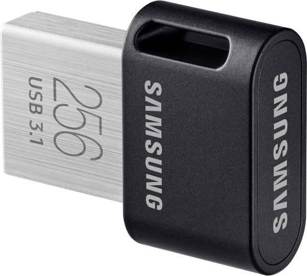 Samsung MUF-256AB USB-flashdrev 256 GB USB Type-A 3.2 Gen 1 (3.1 Gen 1) Grå, Sølv