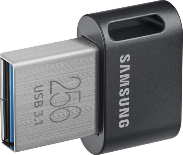 Samsung MUF-256AB USB-flashdrev 256 GB USB Type-A 3.2 Gen 1 (3.1 Gen 1) Grå, Sølv