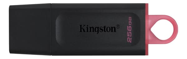 Kingston 256 GB USB 3.2 Gen1 DataTraveler Exodia (svart + rosa)