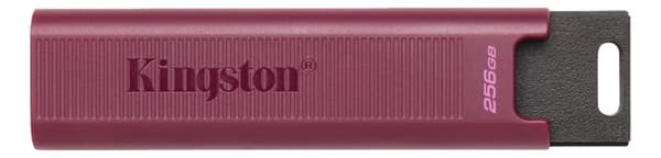 Kingston 256 GB DataTraveler Max Type-A