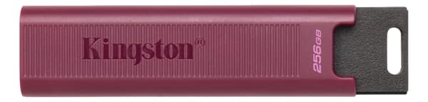 Kingston 256 GB DataTraveler Max Type-A Rød