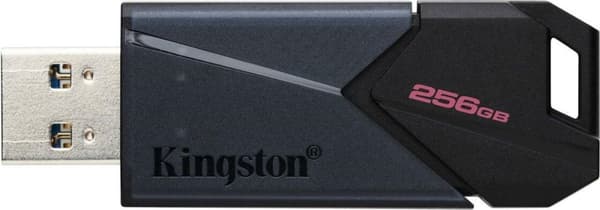 Kingston Technology DataTraveler Exodia Onyx USB-minne 256 GB USB Typ-A 3.2 Gen 1 (3.1 Gen 1) Svart