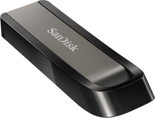 SanDisk Extreme Go USB-minne 256 GB USB Type-A 3.2 Gen 1 (3.1 Gen 1) Rostfritt stål