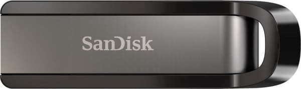 SanDisk Extreme Go USB-minne 256 GB USB Type-A 3.2 Gen 1 (3.1 Gen 1) Rostfritt stål