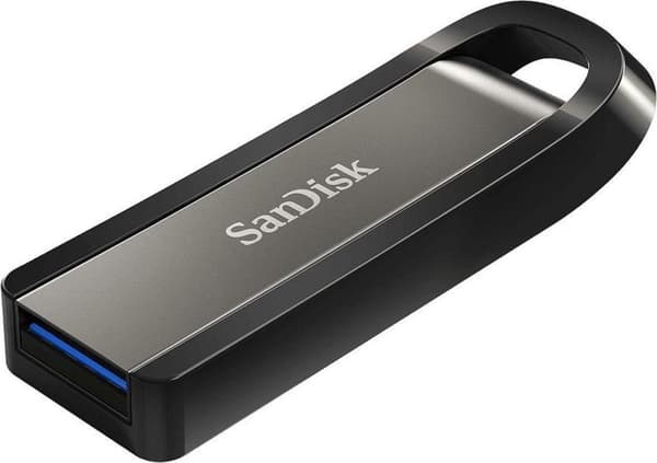 SanDisk Extreme Go USB-minne 256 GB USB Type-A 3.2 Gen 1 (3.1 Gen 1) Rostfritt stål