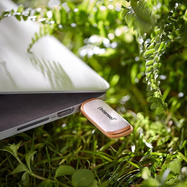 Intenso SUPER SPEED USB 3.2 32 GB (TYP A) - 32 GB USB Stick USB Type-A 3.2 Gen 1 (3.1 Gen 1) Beige - Brun (3540480)