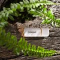 Miniatyrbild 4 av 6: USB-minne 128 GB Intenso USB 3.2 Gen1x1 Green Line detaljhandel (3540491)
