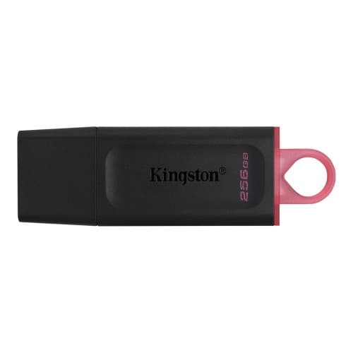 Kingston DataTraveler Exodia - USB flash-enhet - 256 GB Svart, Rosa
