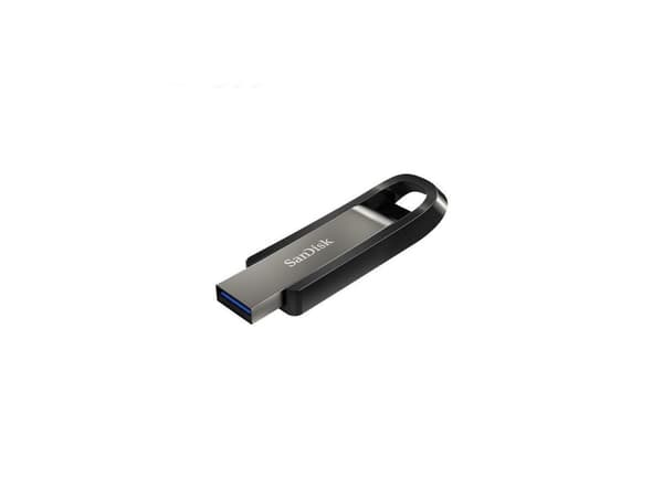 Zibatmiņa SanDisk Extreme Go 256GB