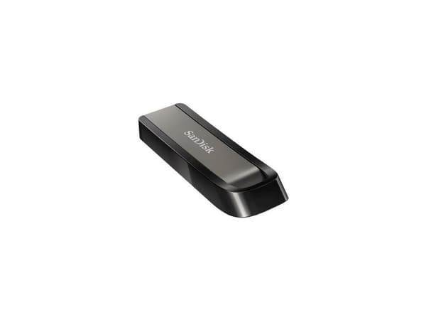 Zibatmiņa SanDisk Extreme Go 256GB