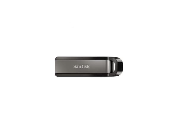 Zibatmiņa SanDisk Extreme Go 256GB