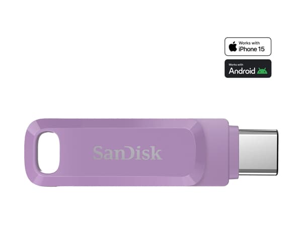 SanDisk Ultra Dual Drive Go - USB flash-enhet - 256 GB - USB 3.2 Gen 1 / USB-C - lavendel