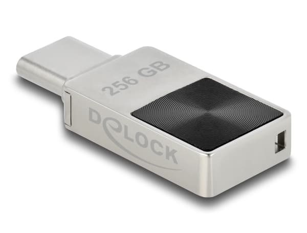 Delock - USB flash-enhet - 256 GB - USB-C