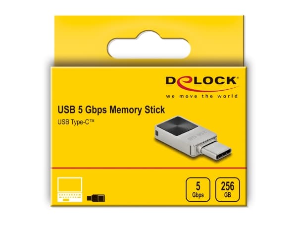 Delock - USB flash-enhet - 256 GB - USB-C