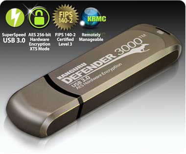 Kanguru Defender 3000, 256 GB, USB Type-C, 3.2 Gen 1 (3.1 Gen 1), 300 MB/s, Suojus, Harmaa