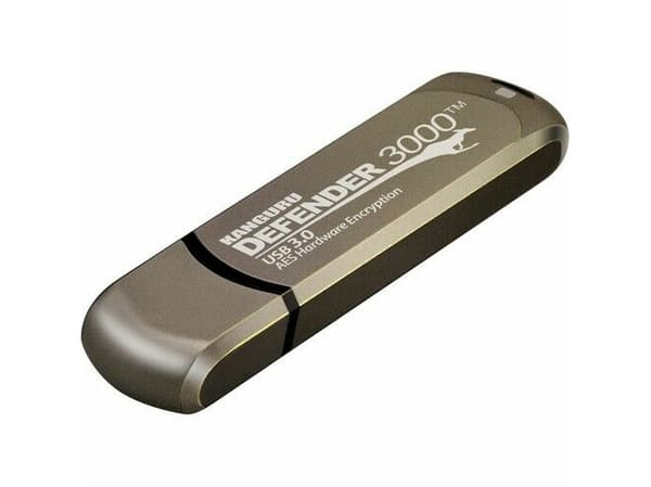 Kanguru Defender 3000, 256 GB, USB Type-C, 3.2 Gen 1 (3.1 Gen 1), 300 MB/s, Suojus, Harmaa