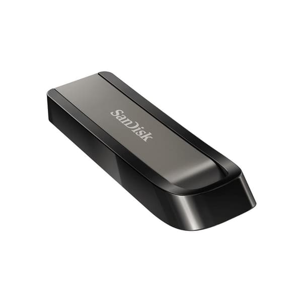 SanDisk Extreme Go USB-minne 256 GB USB Type-A 3.2 Gen 1 (3.1 Gen 1) Rostfritt stål