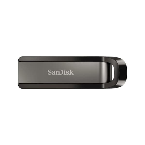 SanDisk Extreme Go USB-minne 256 GB USB Type-A 3.2 Gen 1 (3.1 Gen 1) Rostfritt stål