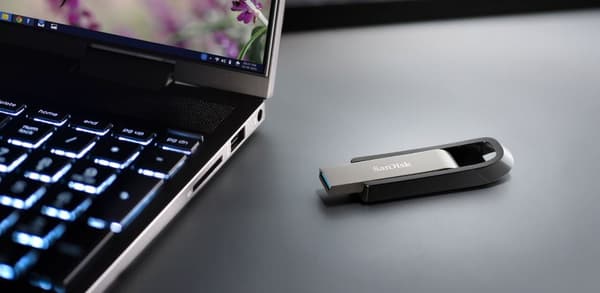 SanDisk Extreme Go USB-minne 256 GB USB Type-A 3.2 Gen 1 (3.1 Gen 1) Rostfritt stål
