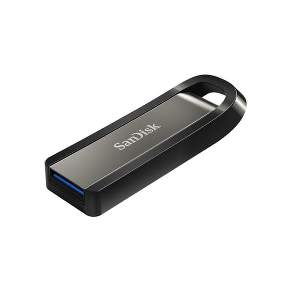 SanDisk Extreme Go USB-minne 256 GB USB Type-A 3.2 Gen 1 (3.1 Gen 1) Rostfritt stål