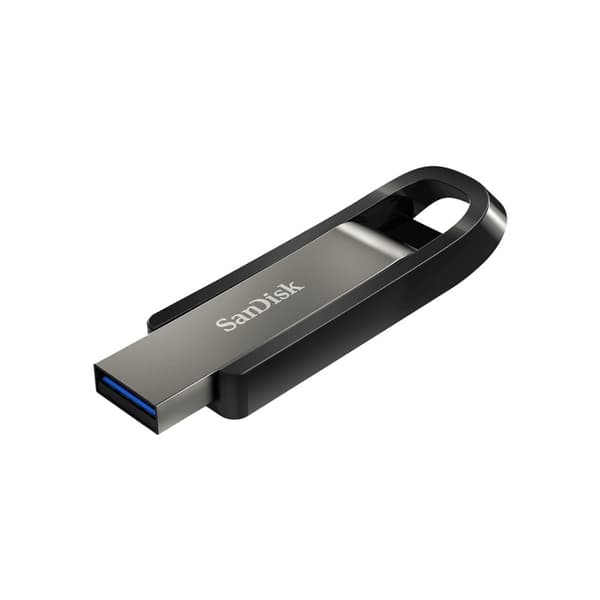 SanDisk Extreme Go USB-minne 256 GB USB Type-A 3.2 Gen 1 (3.1 Gen 1) Rostfritt stål