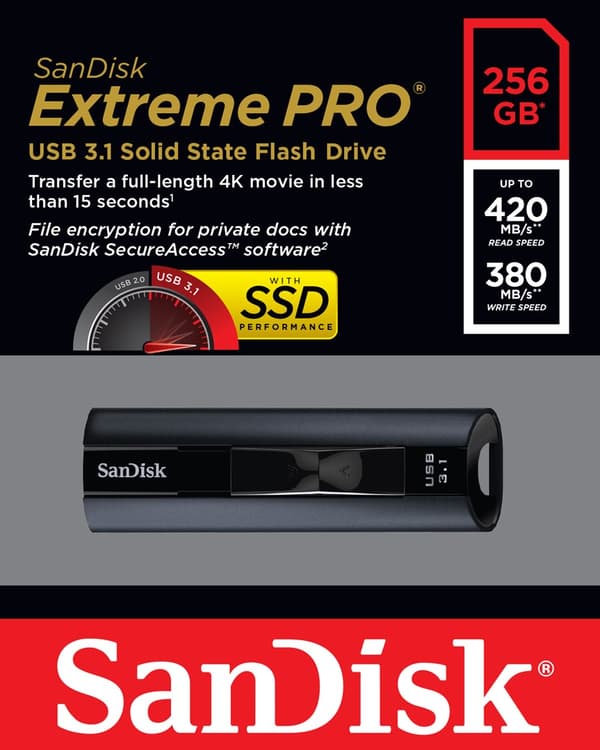 SanDisk Extreme Pro USB-minne 256 GB USB Type-A 3.2 Gen 1 (3.1 Gen 1) Svart