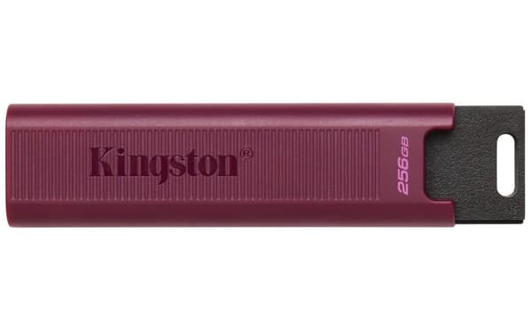 Kingston Technology DataTraveler 256 GB máx. Tipo A 1000R/900 W USB 3.2 Gen 2