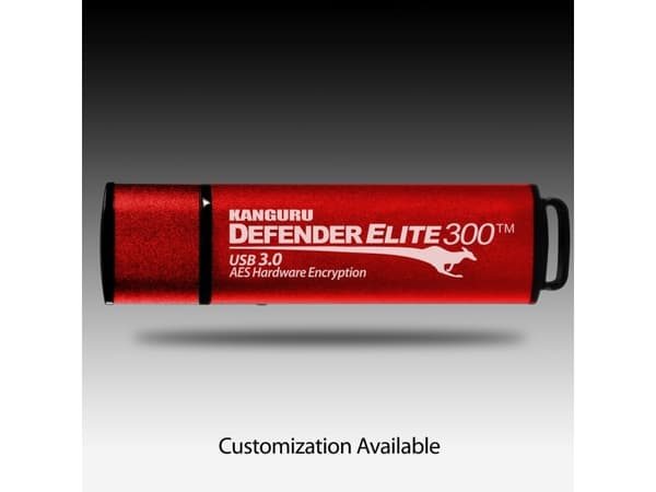 Defender Elite300 USB 256GB Kanguru USB3.0 Stick Kryptert, Kapasitet: 256GB KANGURU (KDFE300-256G)