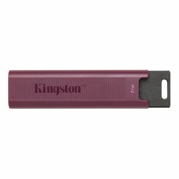 USB-stik Kingston Max Rød Rød