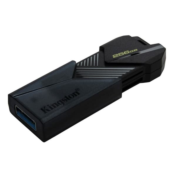 USB-stik Kingston DTXON/256GB Sort 256 GB (1 enheder)