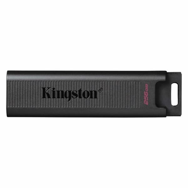 USB-Penn Kingston DTMAX/256GB Svart 256 GB Sort