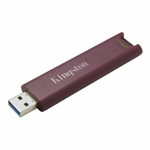 USB-Penn Kingston Max Rød 256 GB