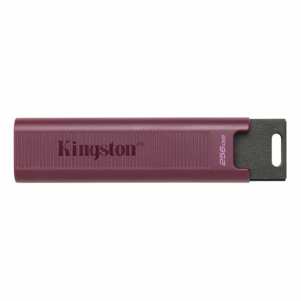 USB-Penn   Kingston Max         Rød 256 GB Rød