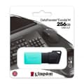 Pikkukuva 3 / 3: USB-tikku Kingston Exodia M Musta 256 GB (1 osaa)