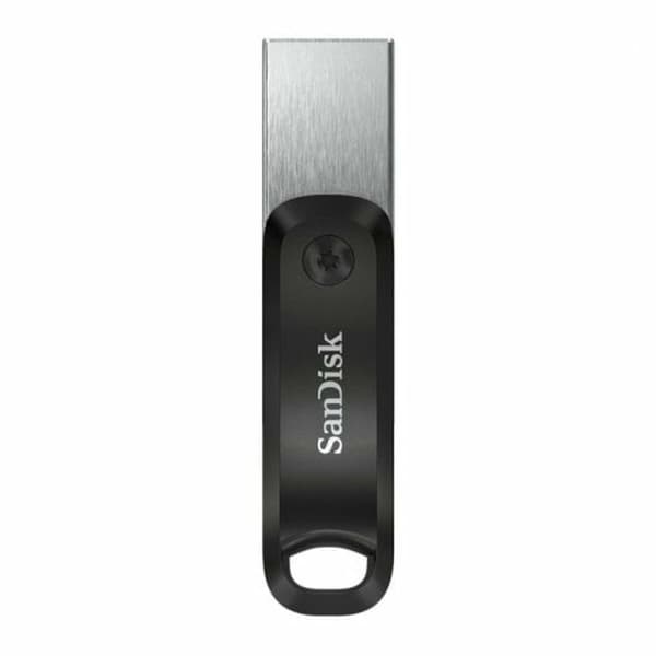 USB-minne SanDisk Silver 256 GB