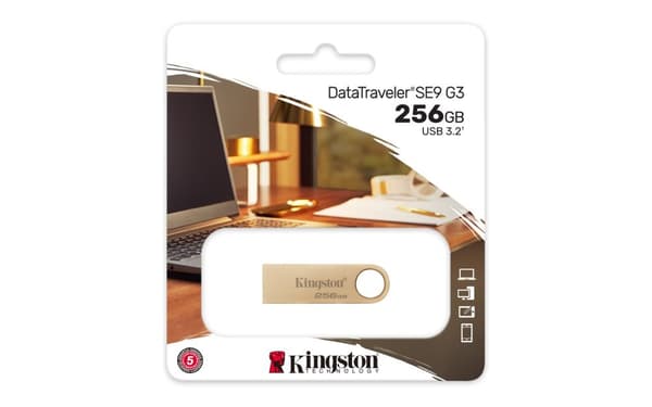 Kingston Technology DataTraveler 256GB 220MB/s Metal USB 3.2 Gen 1 SE9 G3