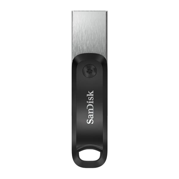 SanDisk SDIX60N-256G-GN6NE USB-minne 256 GB 3.2 Gen 1 (3.1 Gen 1) Grå, Silver