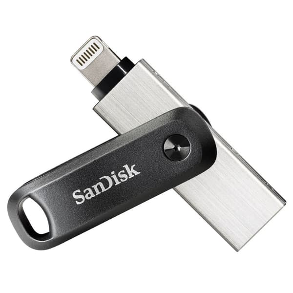 SanDisk SDIX60N-256G-GN6NE USB-minne 256 GB 3.2 Gen 1 (3.1 Gen 1) Grå, Silver Grå, Silver