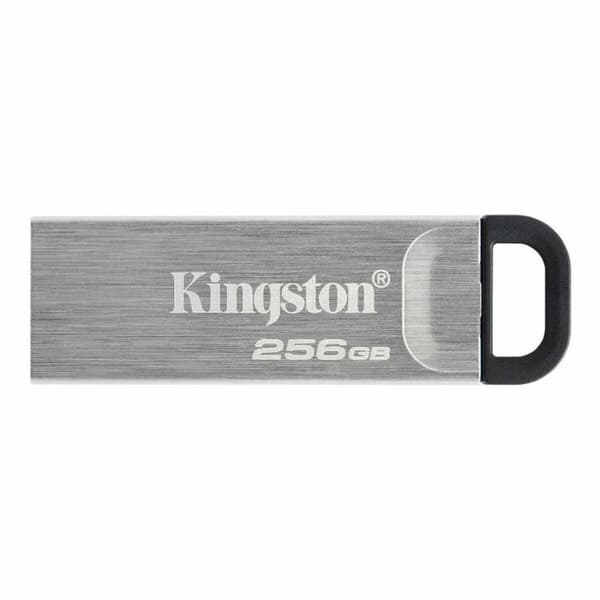 USB-stik Kingston DTKN/256GB Sort 256 GB Sølv