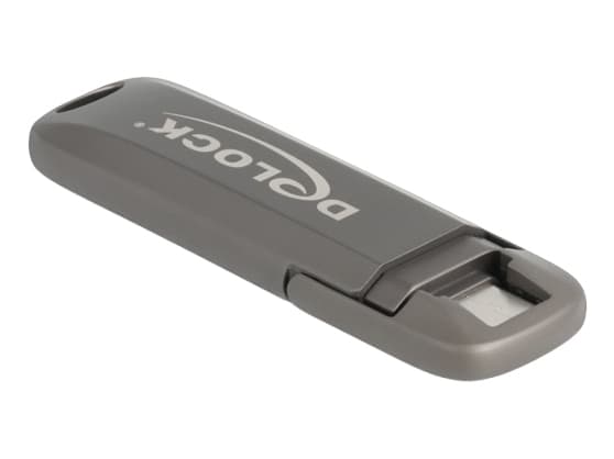 Delock - USB flash-enhet - 512 GB Grå