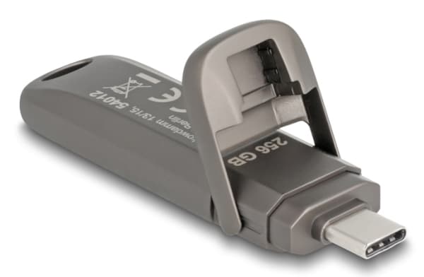 Delock - USB flash-enhet - 256 GB