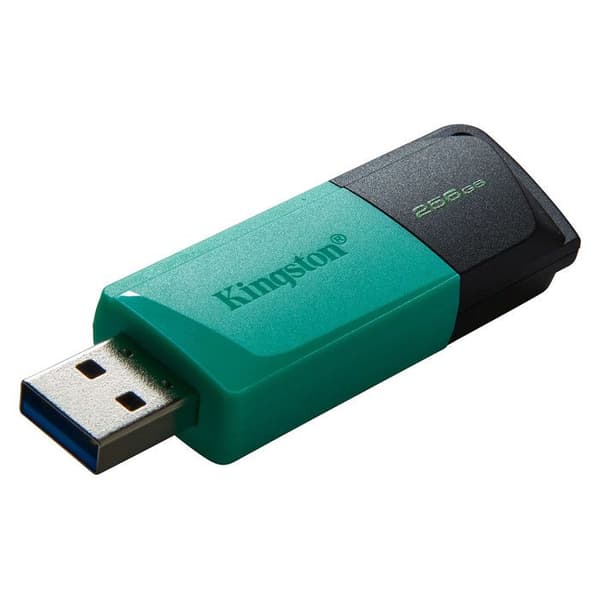 USB-minne - KINGSTON - Dtexodia M Bk - 256 GB - USB 3.2 - Svart